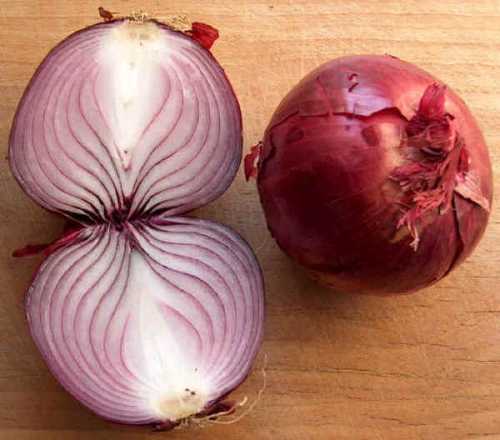 Generic onion